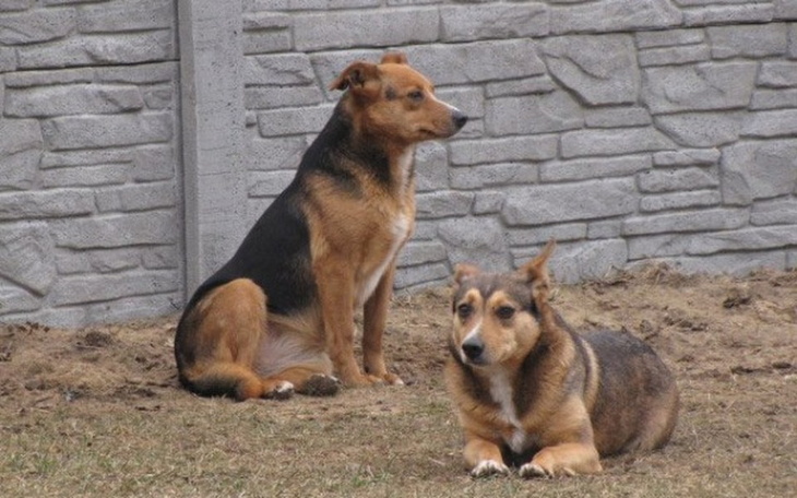 Zbiórka Być albo nie być...... - zdjęcie główne