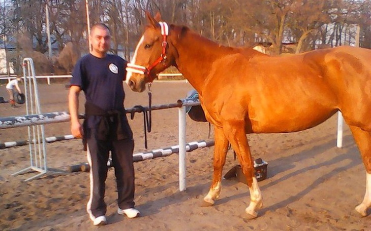 Zbiórka Dla koni że Skaryszewa - zdjęcie główne