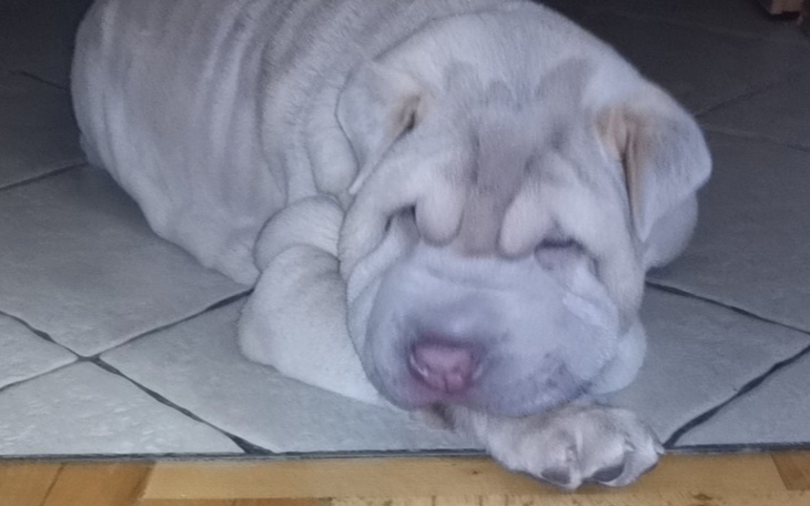 Zbiórka Operacja oczek - zdjęcie główne