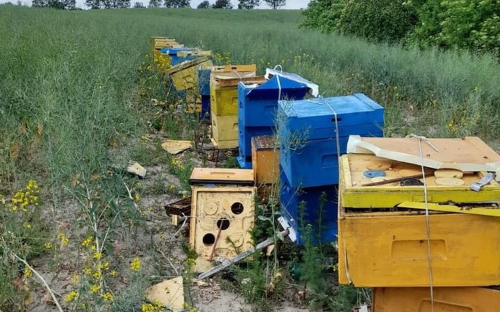Zbiórka Pomoc w odbudowie pasieki Gw - zdjęcie główne