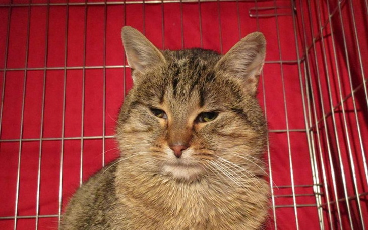 Zbiórka Leon -być niczyim - zdjęcie główne