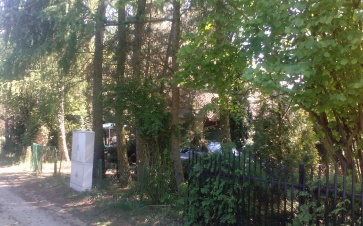 Zbiórka NA pomoc dla syna - zdjęcie główne