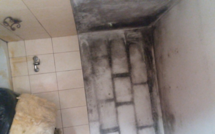 Zbiórka Remont zagrzybiałego domu - zdjęcie główne