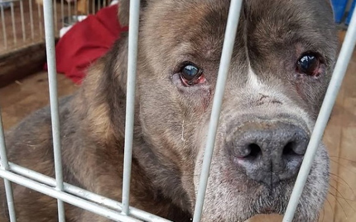 Zbiórka Pomaganie nie boli, jest Fajne! - zdjęcie główne