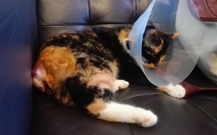 Zbiórka Splata zadłużenia - zdjęcie główne