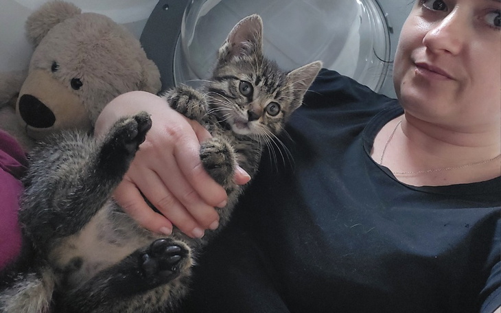 Zbiórka Roki - kociak z wybitymi zębami. - zdjęcie główne