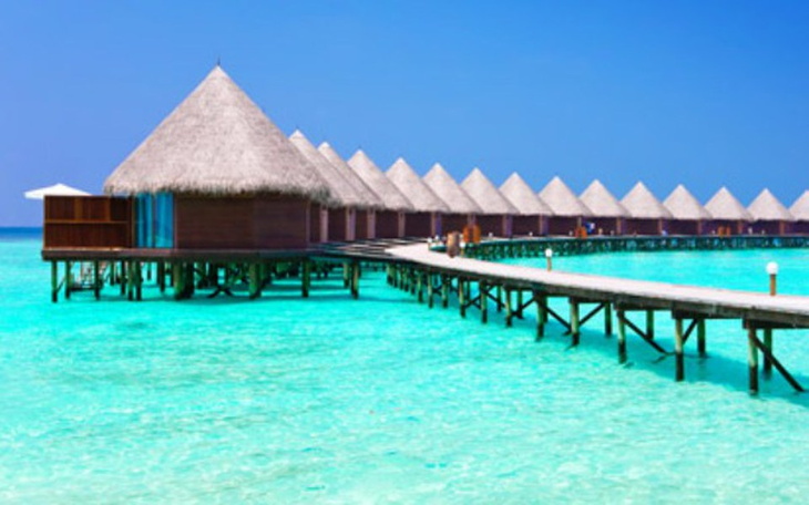 Zbiórka malediwy wycieczka amrzen - zdjęcie główne