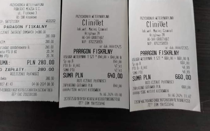 Zbiórka Zbiórka na opłatę leczenia - zdjęcie główne