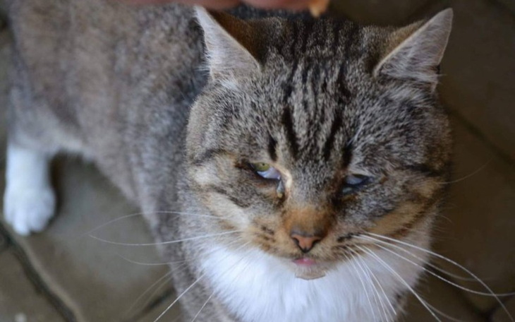 Zbiórka Umrze jako kolejny numer - zdjęcie główne