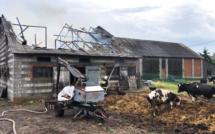 Zbiórka Odbudowa dachu obory po pożarze - zdjęcie główne