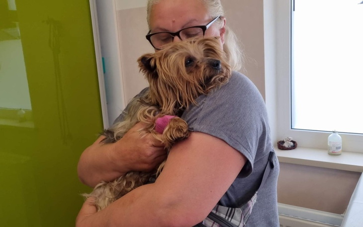 Zbiórka Konała w rowie - zdjęcie główne