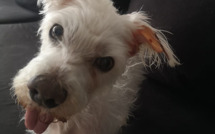 Zbiórka Cena nieskończonej miłości - zdjęcie główne