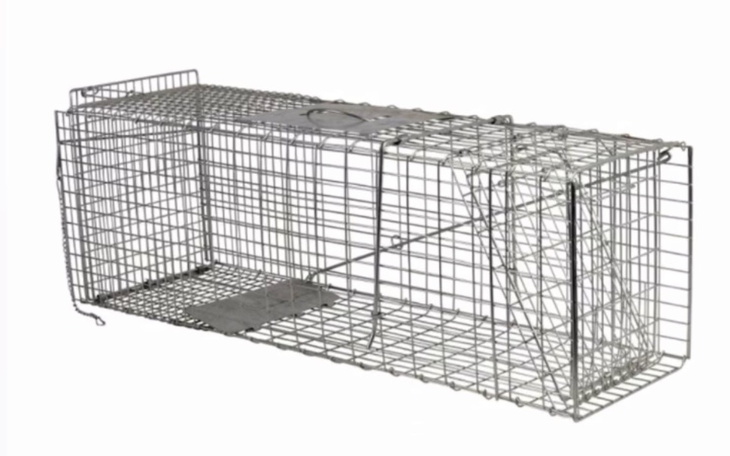 Pułapka na zwierzęta, używana w schroniskach.