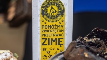 Zbiórka Zwierzogranie Świętochłowice - miniaturka zdjęcia