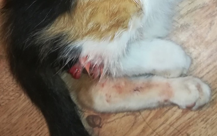 Zbiórka Pomóżmy im razem - zdjęcie główne