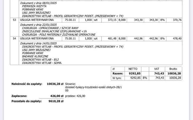 Dokument z informacjami medycznymi i kosztami usług.
