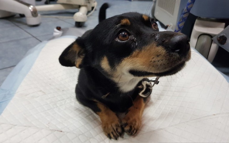 Zbiórka Ktoś złamał Mańka - zdjęcie główne