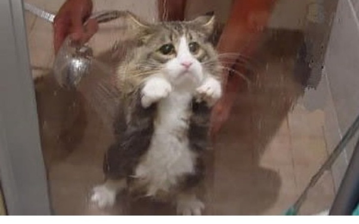 Zbiórka Lepsze Życie - Nowy Start - zdjęcie główne