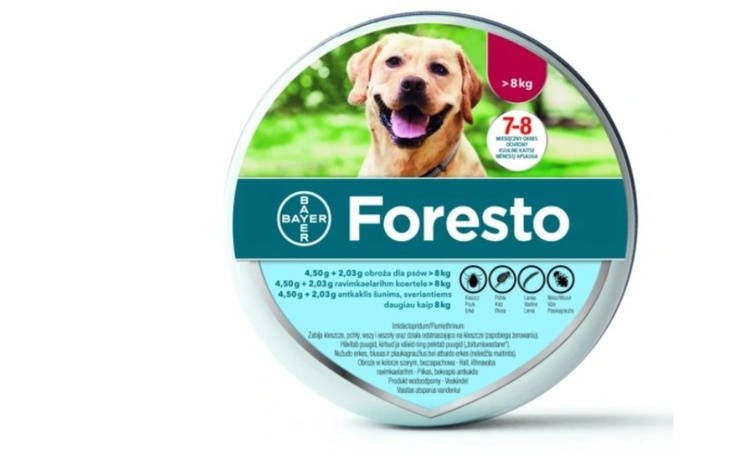 Zbiórka Pomoc w zabezpieczeniu 8 psów - zdjęcie główne