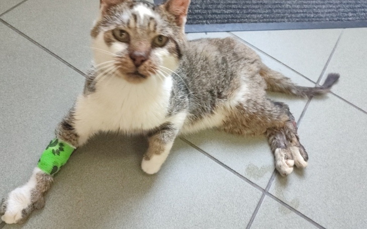 Zbiórka Na operacja Robusia - zdjęcie główne