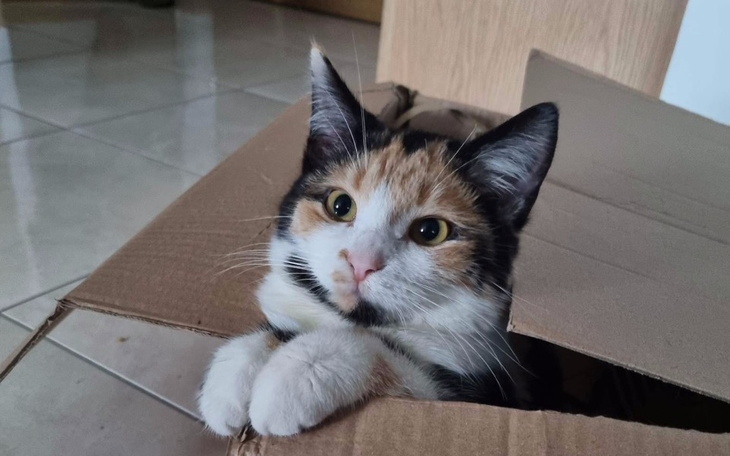 Zbiórka TriniZostaje - zdjęcie główne