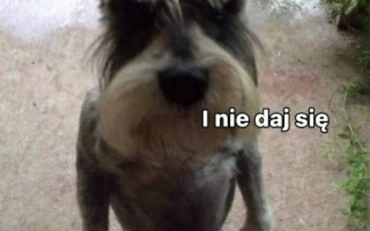 Zbiórka mikrofon dla śpiewającego kolegi - zdjęcie główne