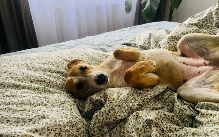 Zbiórka Bez Was nie możemy pomagać - zdjęcie główne