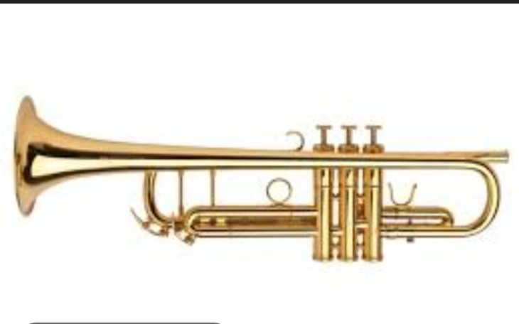 Zbiórka Zbieram na trąbke - zdjęcie główne