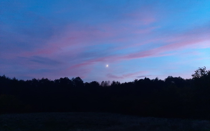 Malowniczy zachód słońca z różowymi chmurami nad lasem.