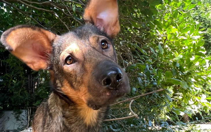 Zbiórka Pozwólcie nam żyć - zdjęcie główne