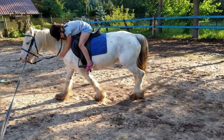 Dziecko jeździ na białym koniu na placu zabaw.