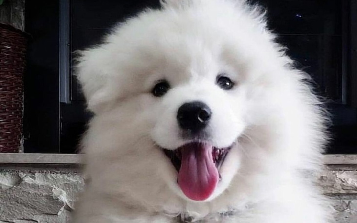 Zbiórka Zbieram na przyjaciela - - zdjęcie główne