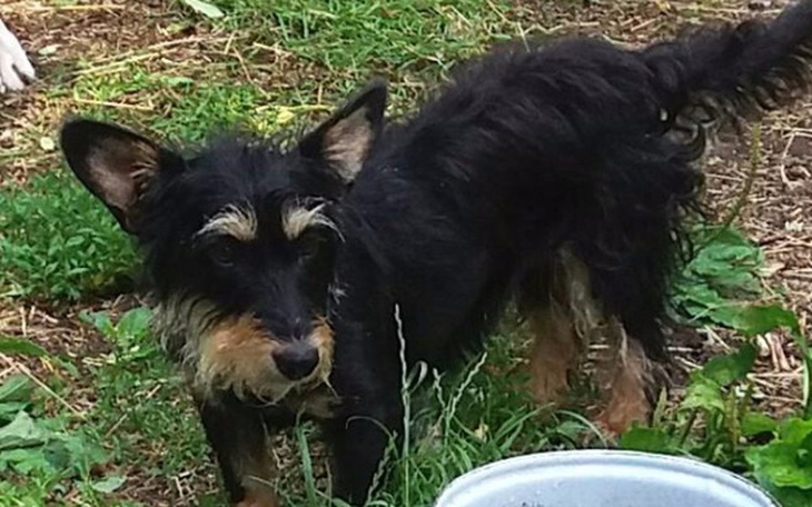 Zbiórka Nowe życie Megi - zdjęcie główne