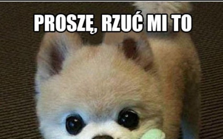 Zbiórka Na Komputer rzućcie coś - zdjęcie główne