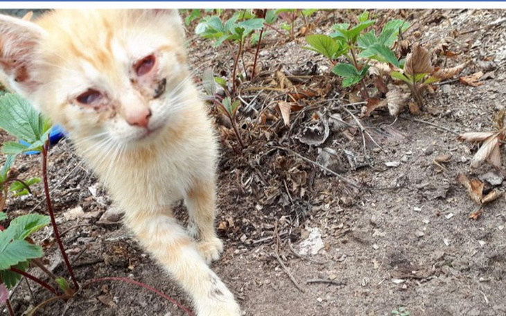 Zbiórka Czy to już koniec? - zdjęcie główne