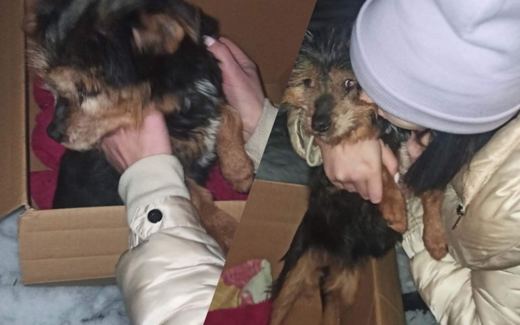 Zbiórka Wyrzucona, niepotrzebna. - zdjęcie główne