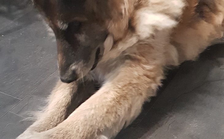 Zbiórka Na Leki blokady - zdjęcie główne