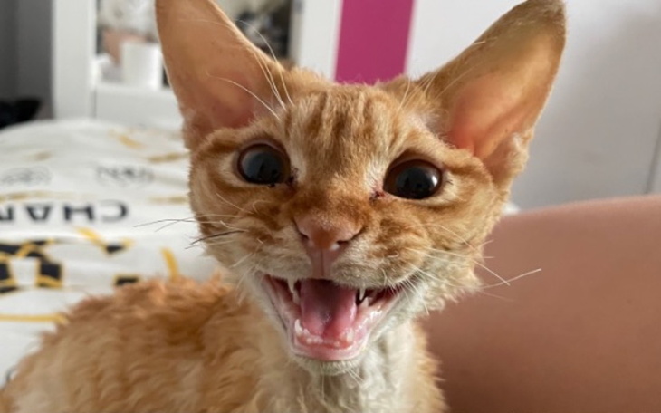 Zbiórka JESTEM ZA MAŁY NA ŚMIERĆ Jordan - zdjęcie główne