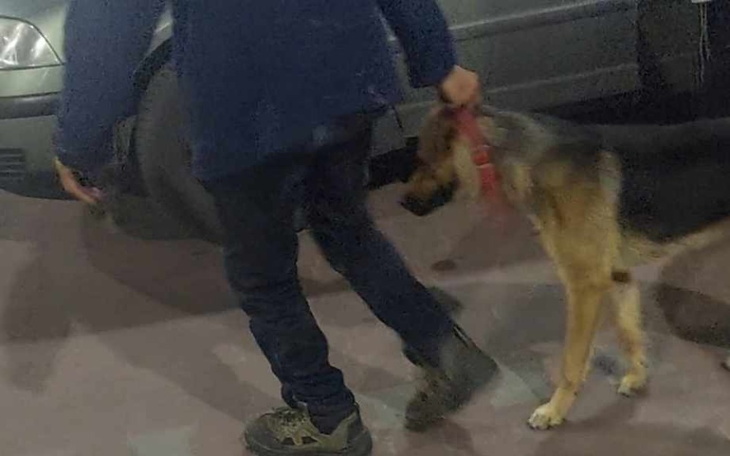 Zbiórka Same nie dadzą rady - zdjęcie główne