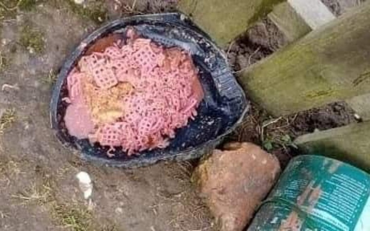 Zbiórka Zlewki - zdjęcie główne