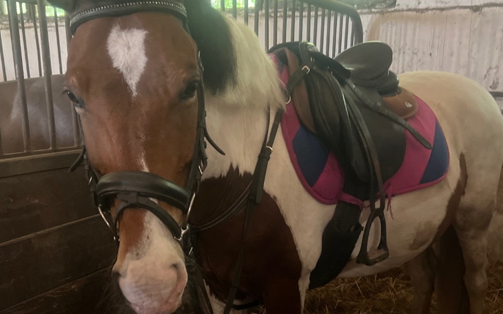 Zbiórka Pomóż spełnić marzenie proszę - zdjęcie główne