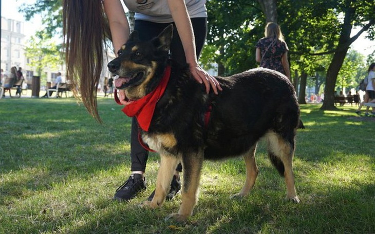 Zbiórka Pilna mastektomia Zoji - zdjęcie główne
