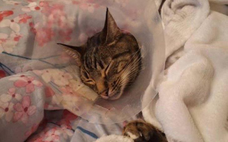 Zbiórka Pomóc dla koleżanki - zdjęcie główne