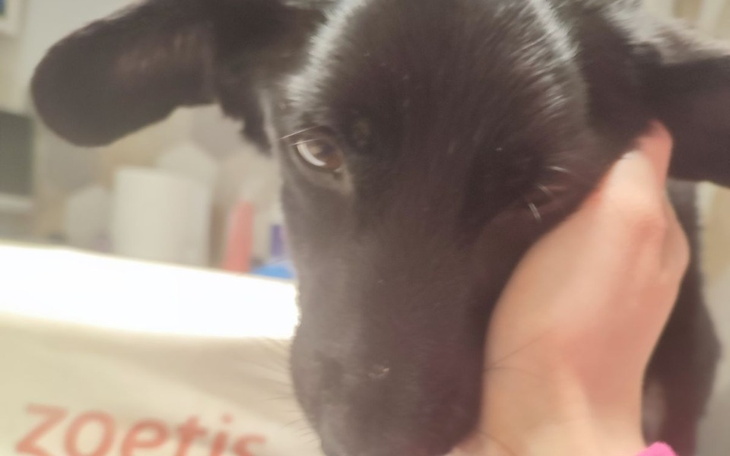 Zbiórka Bąbel - przegrana walka - zdjęcie główne