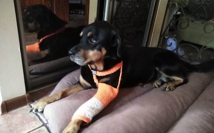 Zbiórka Pomoc w leczeniu Helenki - zdjęcie główne