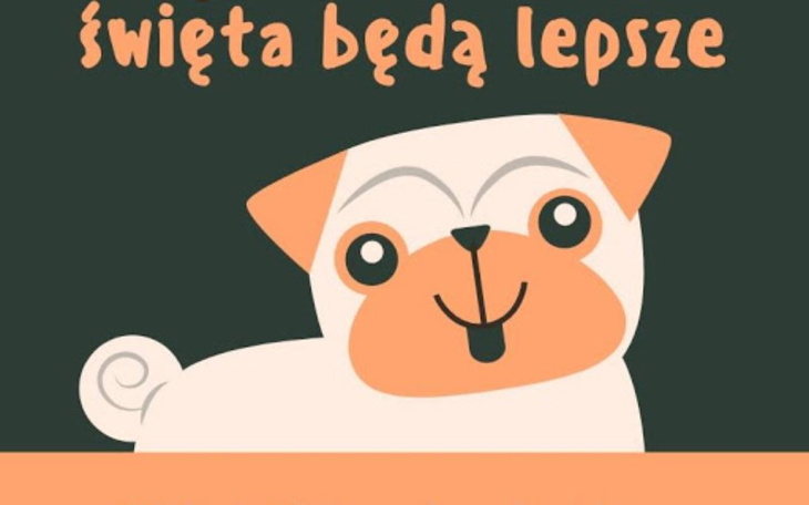 Zbiórka zbieram dla schronisko - zdjęcie główne