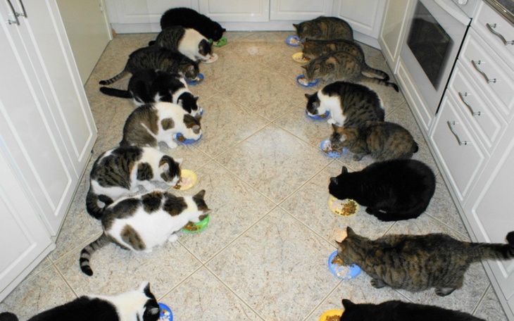 Zbiórka Urodzinowa Zbiórka dla FBM - zdjęcie główne