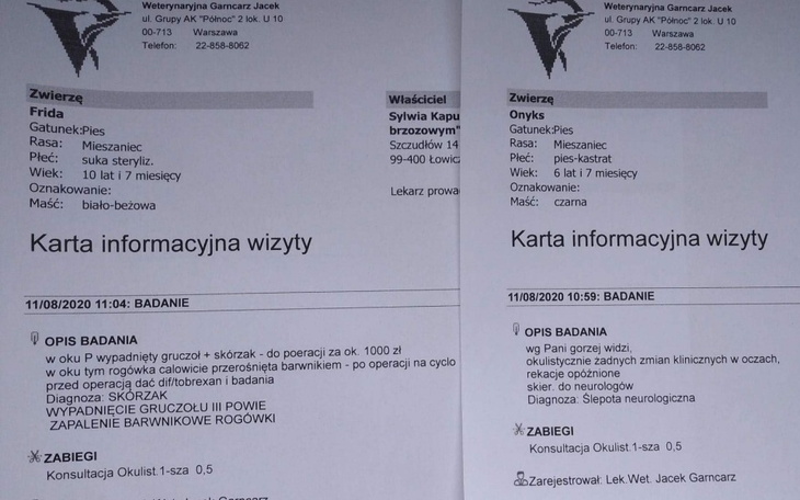 Zbiórka Ratujemy wzrok dwóch psiaków. - zdjęcie główne