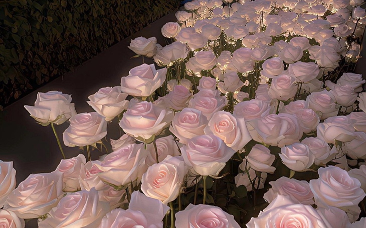 Zbiórka Na życie i lekarzy - zdjęcie główne