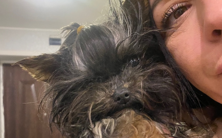 Zbiórka Leczenie Minnie - zdjęcie główne